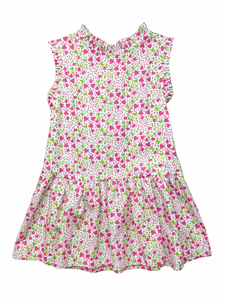 Dropwaist Allie Dress - Pink Flower Vine