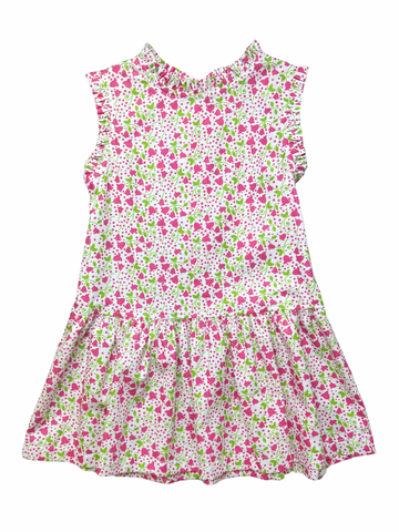 Dropwaist Allie Dress - Pink Flower Vine