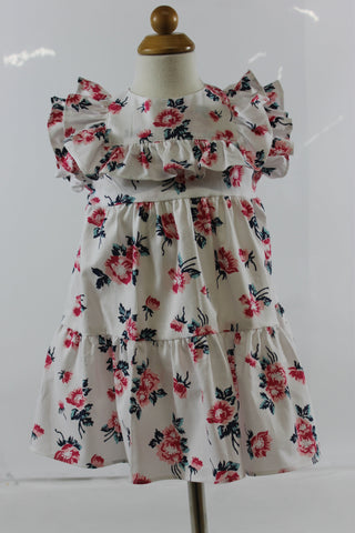 Mavora dress - pink navy floral